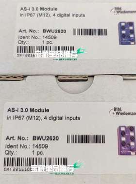 议价Bihl+Wiedemann总线模块BWU2620，AS适用