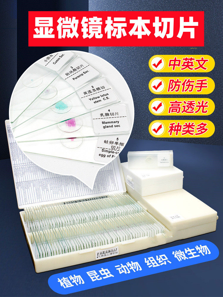 显微镜标本切片生物永久装片小学生六年级上册科学实验动物昆虫植物
