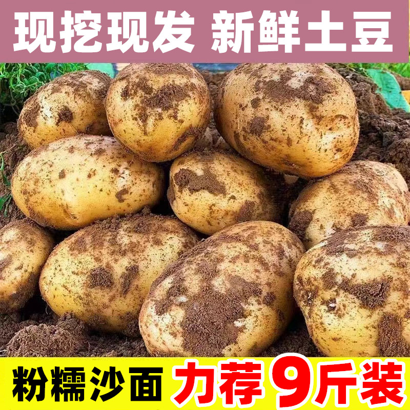 当季现挖土豆农家自种洋芋新鲜蔬菜小马铃薯地瓜批发香甜沙面,水产肉类/新鲜蔬果/熟食,土豆,淘宝优惠券,粉丝福利购,淘宝优惠卷