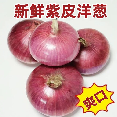 紫皮洋葱水果新鲜应季农家蔬菜5