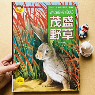 精装有声书 茂盛野草百科全书草类儿童科普植物书 幼儿认知草木图鉴书水果知识小百科关于野草的书3-5-6-7-8岁小学生彩图版大百科