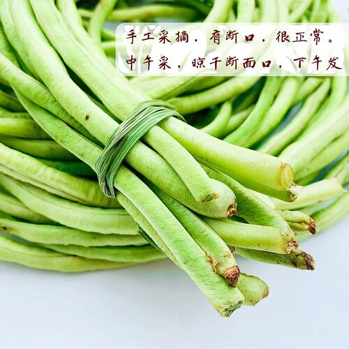 手工采摘新鲜中长豇豆角