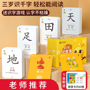 冯式 早教幼儿园小班识字卡片中文宝宝启蒙象形闪卡儿童拼音认字
