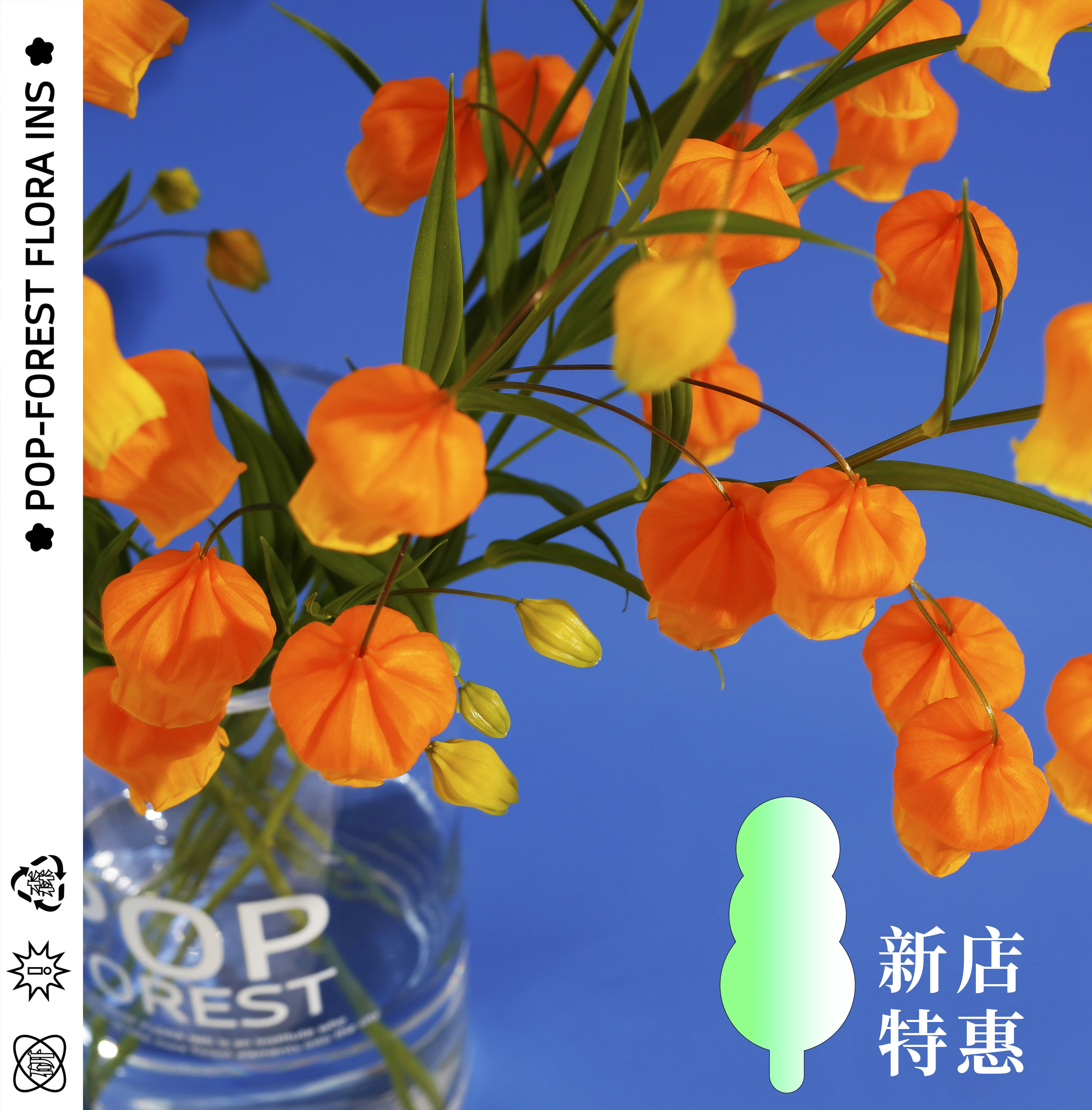 网友分享在meiguo.com上的图片