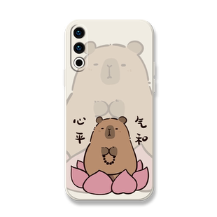 功德加一适用魅族20pro手机壳魅族18spro水豚魅族18pro全包防摔meizu18x保护套18s卡皮巴拉液态硅胶20敲木鱼