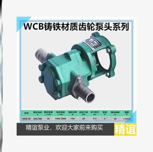 高温电动齿轮油泵WCB-30/50/75/100自吸油泵手提油泵抽油泵头系列
