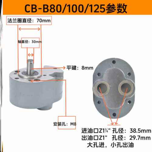 新款CB-B10/B6/B4/B16/B20/B25/B32/B40/B50/B100/B80/B125/B63齿