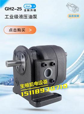 新款化工泵GH2-25C-L-R GH2-30C-LR GH2-35C-LR GH2-40C-LR F现货