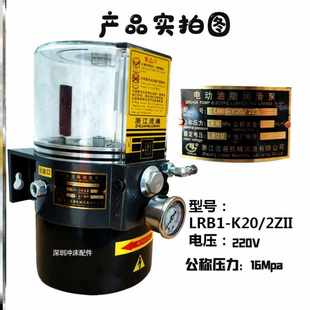 K20 3ZKI电动黄油泵LRB1 2ZII油脂泵 K30 浙江流遍油脂润滑泵LRB2