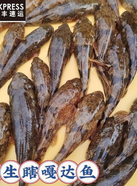 东北瞎嘎鱼新鲜活体发货不保活淡水鱼花鱼丹东溪水鱼