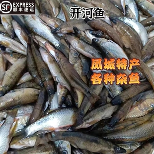 东北冷水鱼船丁沙咕噜瞎嘎子鱼白漂子花泥鳅柳根鱼挤好冷冻