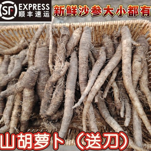 东北沙参新鲜山地瓜山胡萝卜带皮顺丰包邮