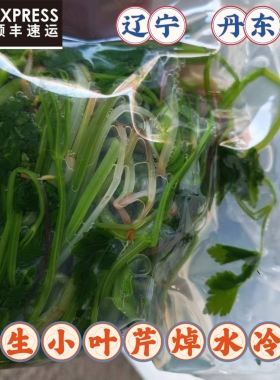 东北特产山野菜小叶芹春季野生绿色小叶芹焯水冷冻顺丰包邮