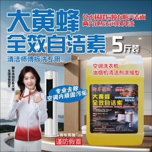 大黄蜂自洁素洗空调家电清洗浓缩型一比十自洁素免擦清洁顽固污渍