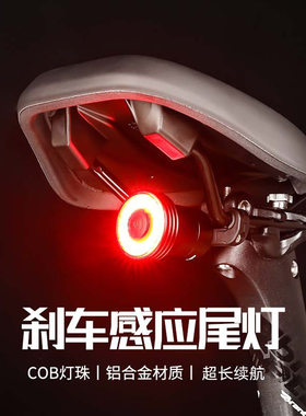 ESLNF公路车尾灯山地公路车高亮警示灯智能刹车感应灯户外骑行灯