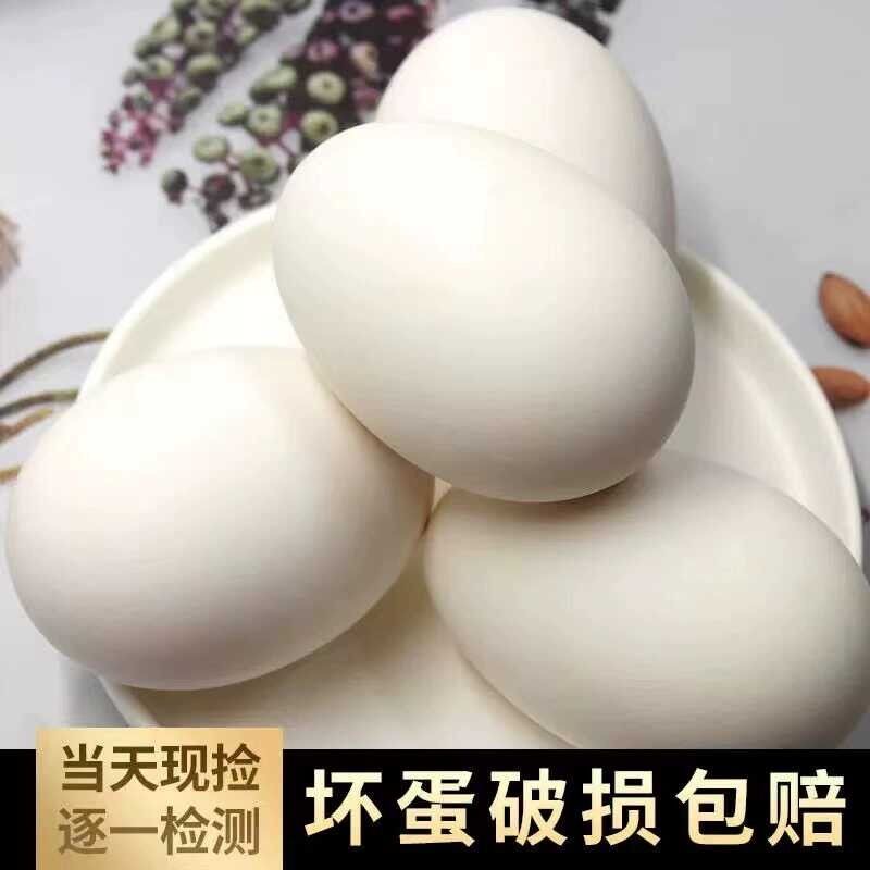 12枚140-160克特大生鹅蛋双黄蛋鹅蛋新鲜农家散养正宗土鹅蛋孕妇