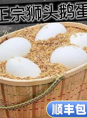 12枚220-260克保真正宗狮头大鹅蛋新鲜农家散养土鹅蛋孕妇顺丰