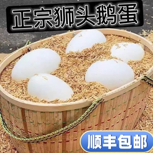 12枚230 260克保真正宗狮头大鹅蛋新鲜农家散养土鹅蛋孕妇顺丰
