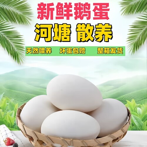 12枚220-260克特大生鹅蛋双黄蛋鹅蛋新鲜农家散养正宗土鹅蛋孕妇