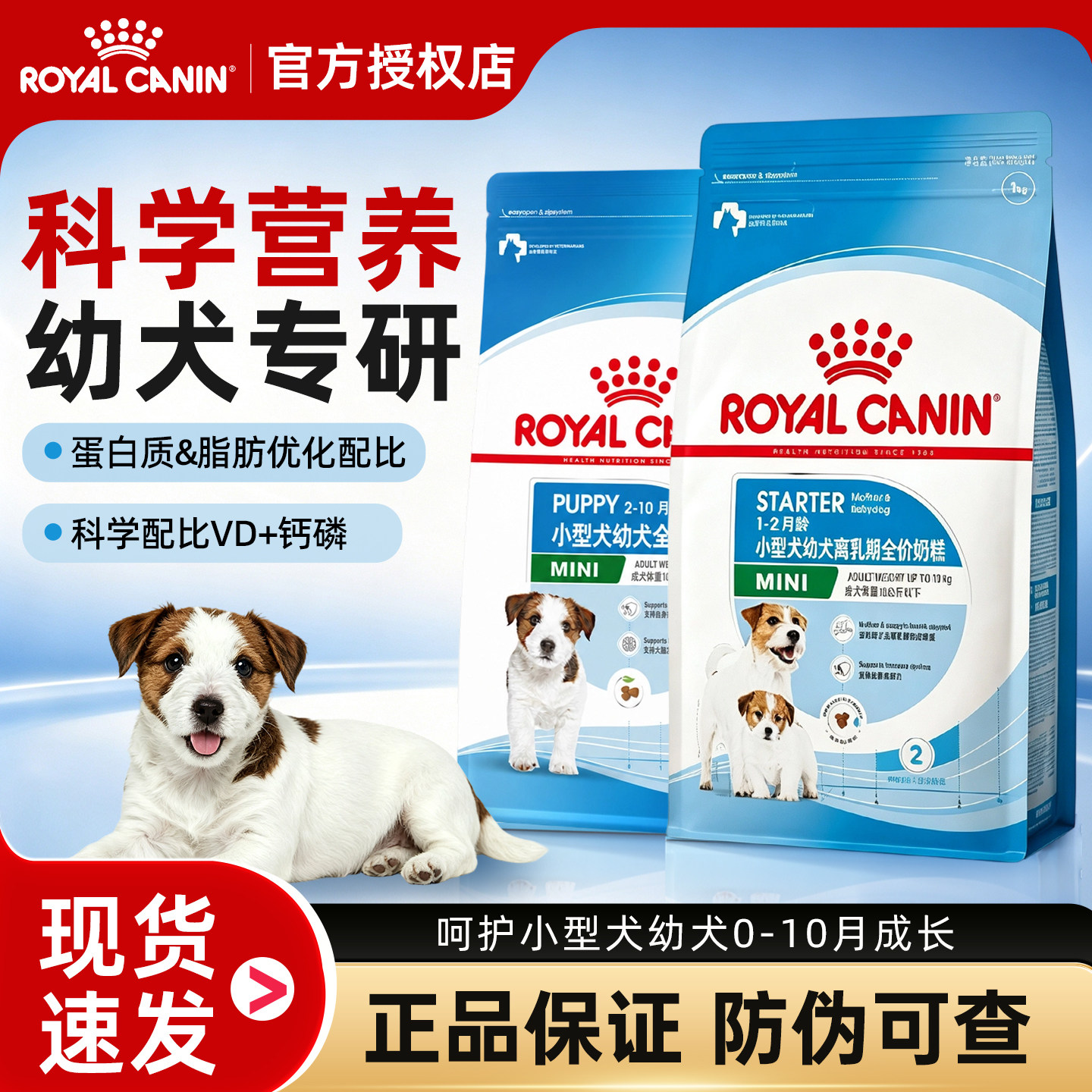 皇家奶糕狗粮小型犬幼犬粮泰迪比熊博美柴犬离乳期专用粮官方正品
