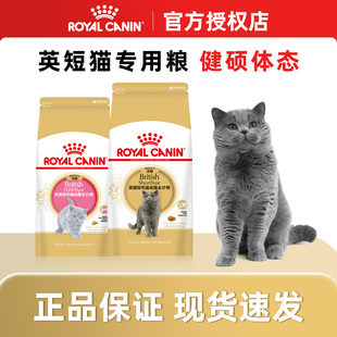 皇家猫粮英短专用成猫粮bs34幼猫粮bsk38英短营养全价粮2kg/10kg