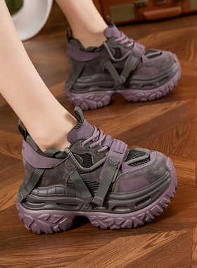 欧洲站老爹鞋女显脚小2025秋冬新款厚底松糕内增高透气运动休闲鞋