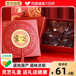 半山农灵芝礼盒整朵山东泰山赤灵芝非野生孢子粉酒滋补节日送礼品