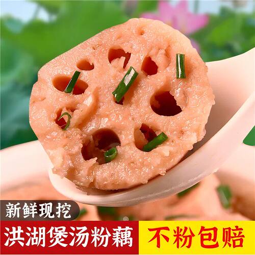 现货正宗洪湖莲藕新鲜现挖煲汤粉藕湖北特产九孔藕桂花糯米藕