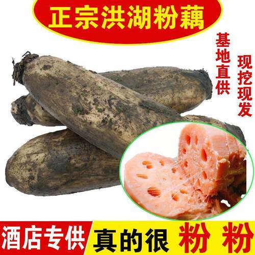 湖北特产生鲜正宗洪湖粉藕湖北莲藕新鲜煲汤藕蜜汁糯米藕