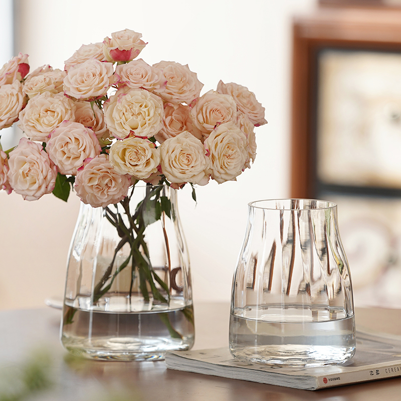 北欧ins风玻璃花瓶摆件透明客厅