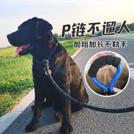 狗狗牵引绳加粗狗p链p绳金毛拉布拉多狗链阿拉狗绳大型犬羊驼绳子