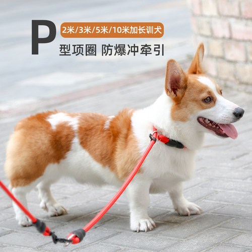 狗狗项圈p链p绳训犬柯基边牧中型