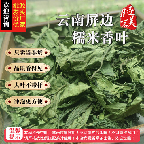 云南糯米香叶大口茶专用整片大叶