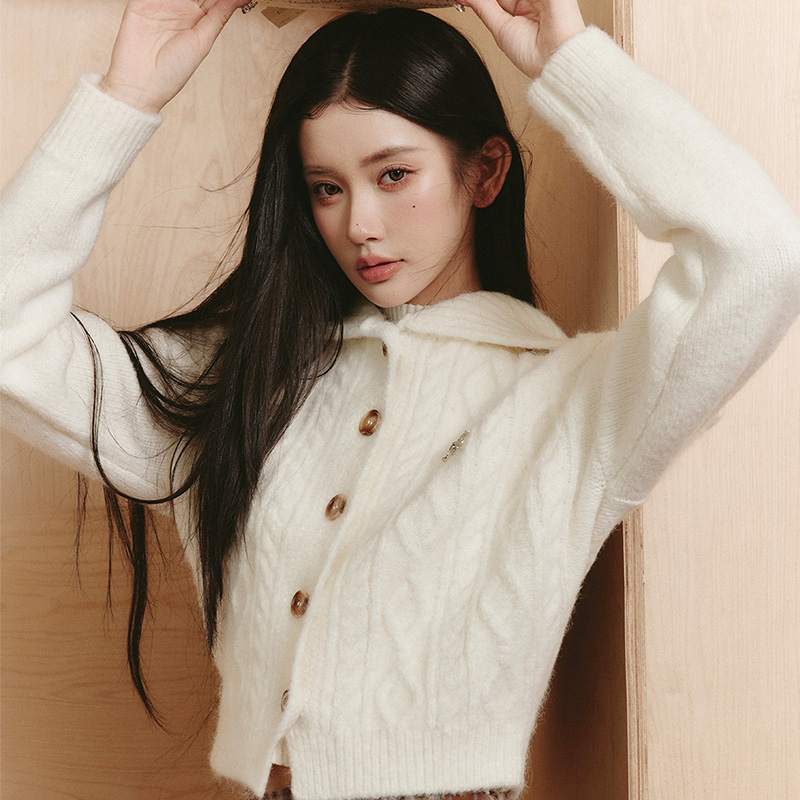 易碎商店百搭氛围感翻领毛衣