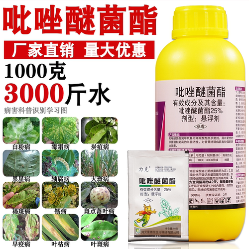 吡唑醚菌酯柑橘稻瘟病吡唑醚菌酯