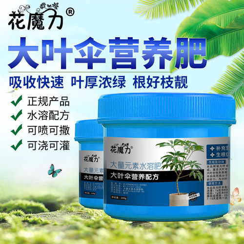花魔力大叶伞专用肥厂家批零
