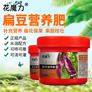 扁豆肥料梅豆火镰豆藤豆沿篱豆鹊豆查豆月亮菜家庭菜园四季营养肥