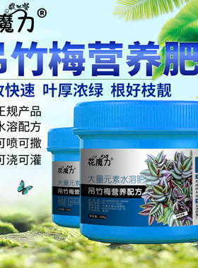 吊竹梅肥料吊竹兰甲由草水竹草花叶竹夹菜红莲盆景养护专用营养肥