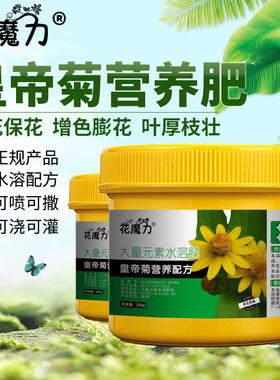 黄帝菊肥料美兰菊皇帝菊帝王菊梅兰抱鸡菊Melampodium四季营养肥