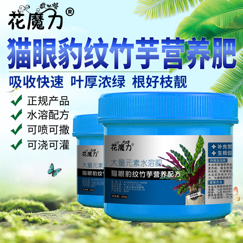 猫眼豹纹竹芋肥料猫眼竹芋盆景室内美丽肖竹芋观叶植物专用营养肥