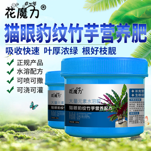 猫眼豹纹竹芋肥料猫眼竹芋盆景室内美丽肖竹芋观叶植物专用营养肥
