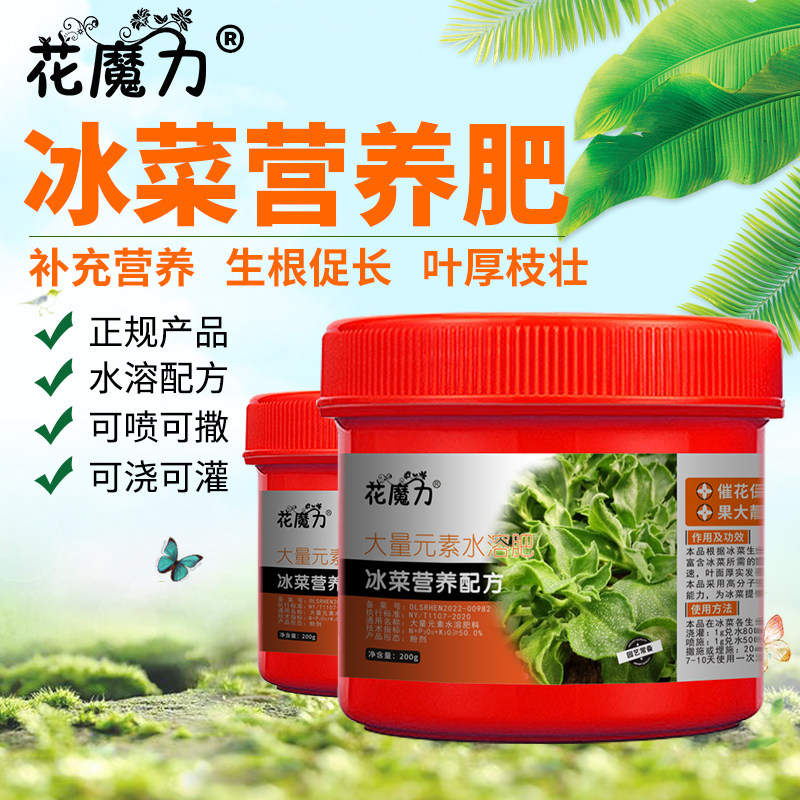 水晶冰菜肥料冰草冰柱,番杏科冰叶日中花家庭菜园四季催长营养肥