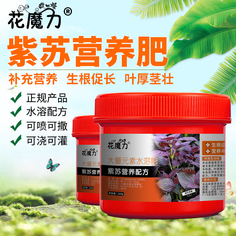 紫苏肥料桂荏白苏赤苏红苏黑苏白紫苏青苏麻水升麻家庭菜园营养肥