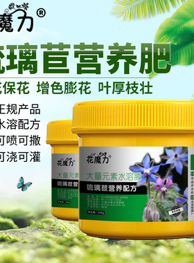 琉璃苣肥料星星花星星草玻璃苣Borago officinalis Linn四季用肥