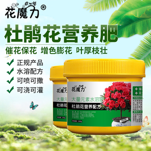 杜鹃花专用营养肥盆栽山踯躅山石榴映山红阳台室内促花增色家用肥