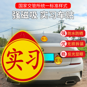 实习女司机专用车贴新手上路标志搞笑提示车贴创意汽车贴文字贴纸
