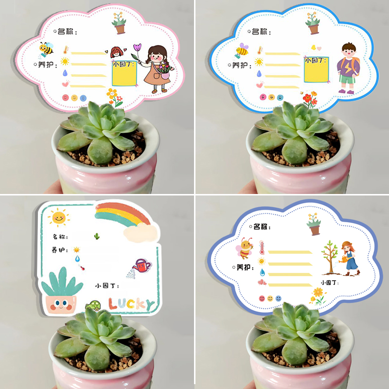 幼儿园绿植养护卡片植物标签
