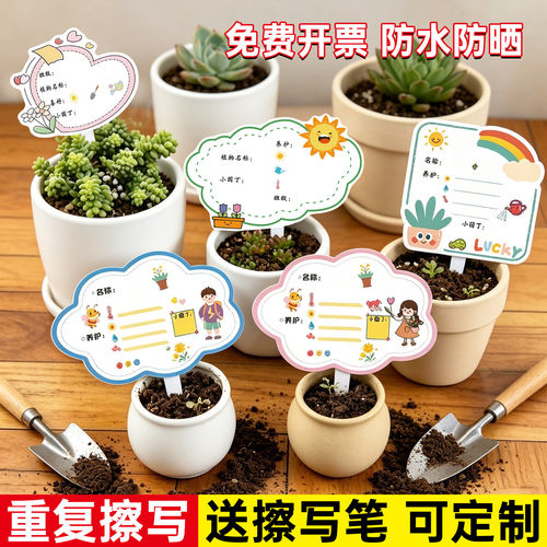 植物标签插牌幼儿园绿植养护卡片