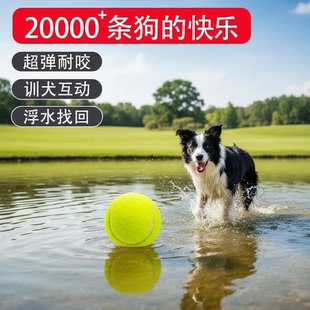 狗狗网球玩具耐咬耐磨宠物户外玩具互动训练球通用犬种寻回训练