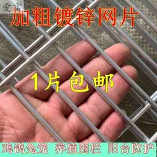 钢丝网格网片铁网网8养殖网围栏鸽电焊防护网加粗c镀锌铁丝网鸟笼